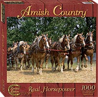 More about the Jigsaw Puzzles